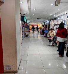 Lucky Plaza (D9), Shop House #561654271